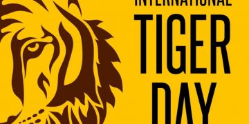 International Tiger Day 2022