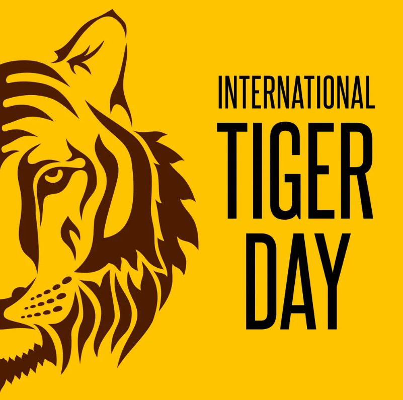 International Tiger Day 2022